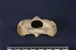Caribou (Cervical Vertebrae 1 - Atlas (Axial) - Cranial)