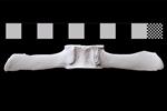 Bowhead Whale (Lumbar Vertebrae 1 (Axial) - Dorsal)