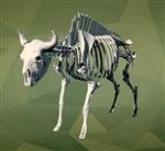 Bison (Skeleton (Axial) - Overview)