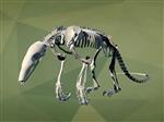 Collared Anteater (Skeleton (Axial) - Overview)
