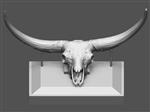 Giant bison (Cranium (Miscellaneous) - Overview)