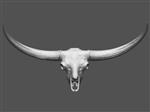 Giant Ice Age Bison (Cranium (Axial) - Overview)